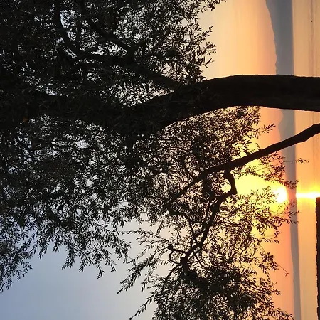 Lido